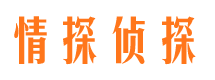 费县市私家侦探